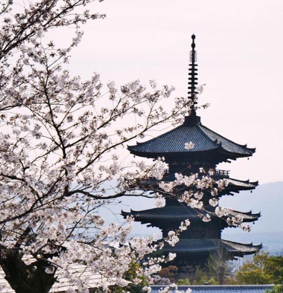 3-2,黒門市場まで30秒!の激近道頓堀徒歩6分!難波駅徒歩7分!通天閣徒歩9分!人気観光エリアへもすぐ! *